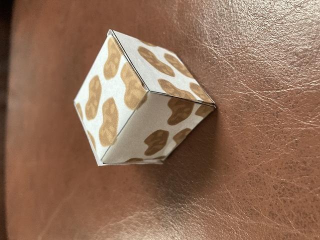 sarahcube