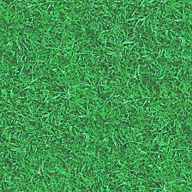 Grass002 2