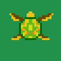 Anna's Turtle (1)