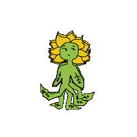 Plant Dude