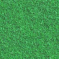 Grass002 2